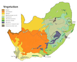 South Africa Map - Vegetation