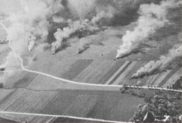 Image: Strafing Attack by 353d Fighter Group 16 April 1945