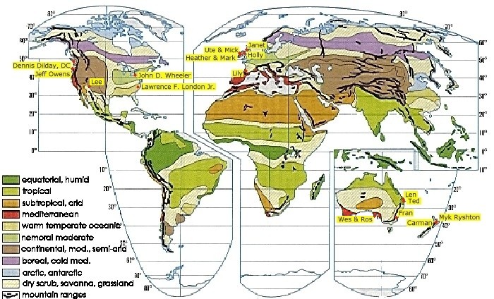 World map