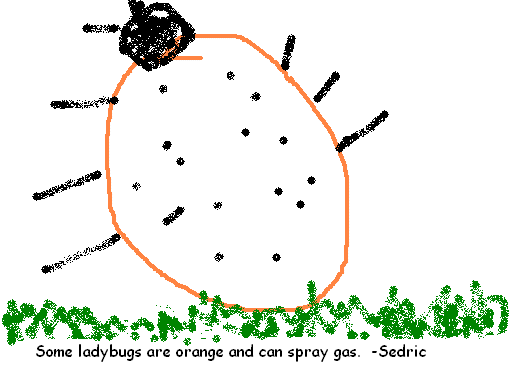 computer drawing of ladybug spraying gas