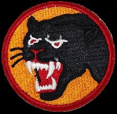 Black Panther Patch