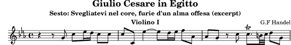 sesto-violin