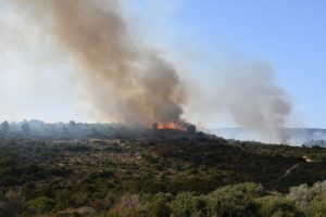 Fire northern Israel