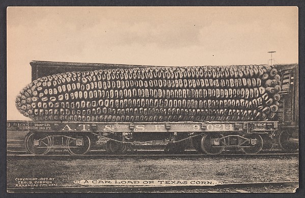 A Car Load of Texas Corn