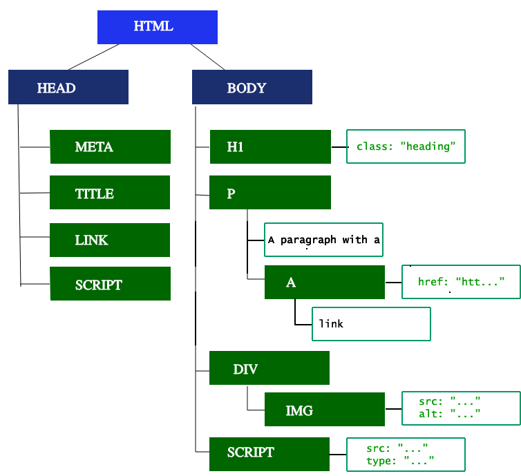 The DOM tree for our sample code, showing all the nodes, including text nodes.