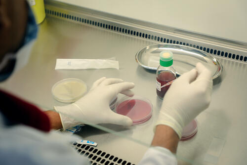 MSF bio lab at MSF’s Aden hospital