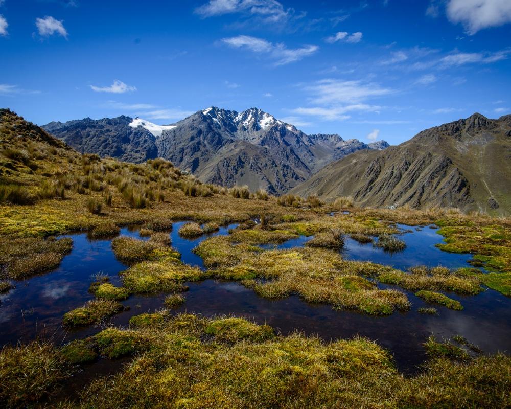 Andes - One Tree Planted