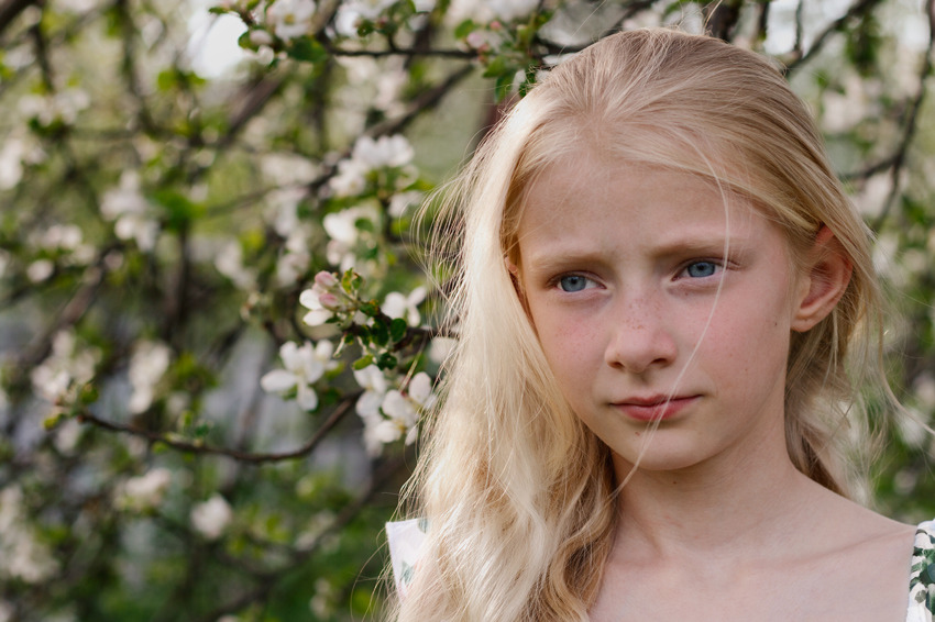 Young girl with freckles and blossomed tree | portrait, model, girl, young, blonde, long-haired, blue eyes, blossomed tree, flowers, freckles