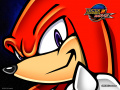 Sa2bwallpaperKnuckles 1024x768.jpg