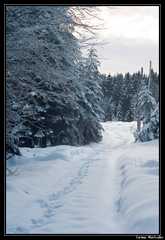 Un vrai chemin