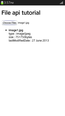 Displaying file information (in mobile applications only)