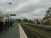 Feniton station looking west in 2009