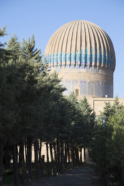 Line of trees leading up to the mausoleum of Gowhar Shad | Gowhar Shad Mausoleum | Afghanistan