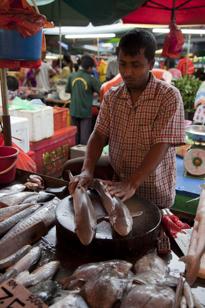 Picture of Pudu market (Malaysia): Small sharks for sale at a market stall of Pudu market