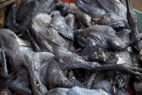 Picture of Pudu market (Malaysia): Close-up of a bunch of purple chicken at Pudu market