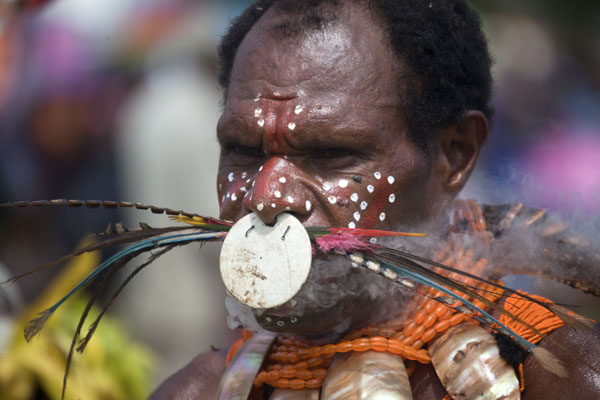 Picture of Madang festival (Papua New Guinea): Colourful feathers on man from the Simbai group