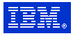 IBM Logo