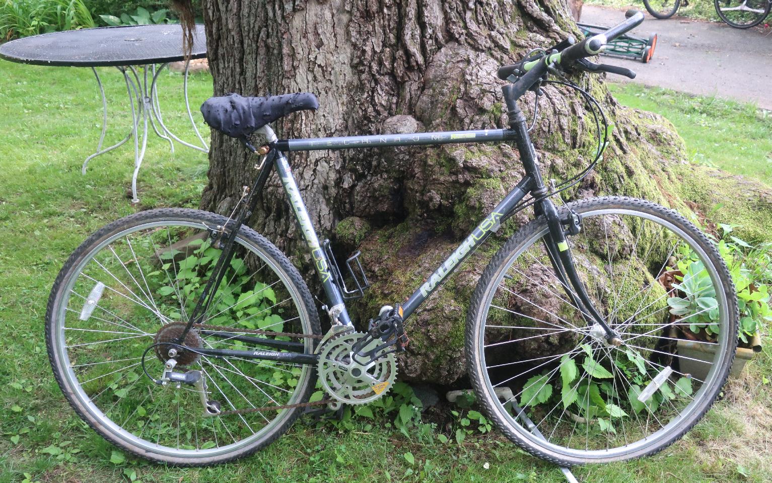 Raleigh Hybrid