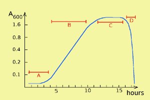 Growth curve