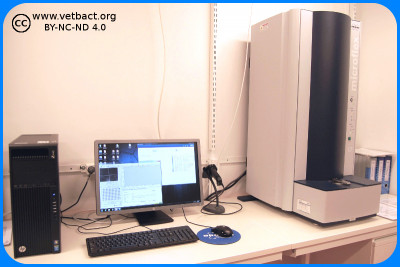 Matrix-Assisted Laser Desorption/Ionization Time Of Flight Mass Spectrometry (MALDI-TOF MS)