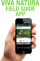 Viva Natura Field Guide App