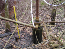 Leaking oil well