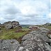 Honeybag Tor