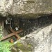 Grotto of Our Lady of Lourdes