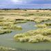 Blackwater Estuary National Nature Reserve