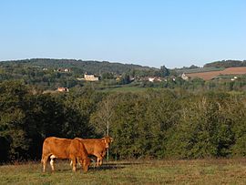 A general view of Anlhiac