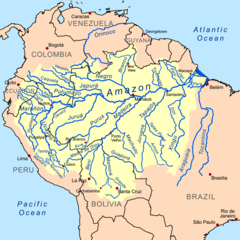 Distribuição da espécie na América do Sul (em amarelo [nota 1]).