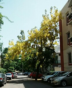 Road in Saket A Block.