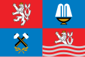 Region de Karlovy Vary - Bandera