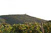 Blick vom Neuenahrer Berg zum Krausberg mit Krausbergturm