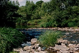 Tur river near Sonkád (Kisbukógát).