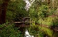 Il fiume Lambro nel Parco.