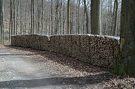 beech-fuelwood, Germany