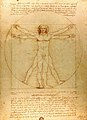 Image 44Vitruvian Man by Leonardo da Vinci epitomizes the advances in art and science seen during the Renaissance. (from History of Earth)