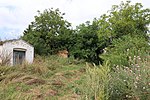 Kleine Kellergasse in Niedersulz (Sulz im Weinviertel)