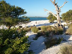 Beaches, north of the island