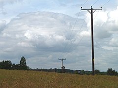 Telegraph poles crossing an oil seed rape field - geograph.org.uk - 2502578.jpg