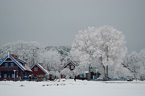 Nida in winter