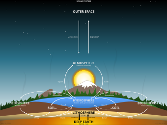 Examples of major biogeochemical processes