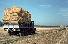 Opération paille avec l'armée en 1976