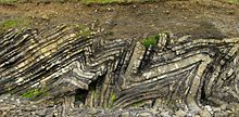 Roques sedimentàries plegades (seqüència de turbidites calcàries) del Carbonífer Inferior a Loughshinny, costa oriental d’Irlanda.