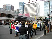 Anti-nuclear protest following the disaster