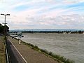 The Rhine at Mainz Theodor Heuss Bridge in Mainz