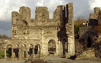 Mellifont Abbey