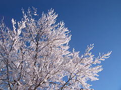 Switzerland, snow-covered