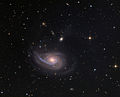 NGC 772 (Mount Lemmon SkyCenter)